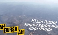 Bursa'da 10 bin futbol sahası kadar orman kül oldu