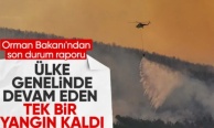 İbrahim Yumaklı'dan orman yangınlarına ilişkin son durum raporu