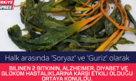 Halk arasında 'Soryaz' ve 'Guriz' olarak bilinen 2 bitkinin, Alzheimer, diyabet ve glokom hastalıklarına karşı etkili olduğu ortaya konuldu.