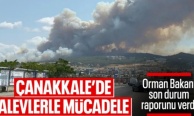 İbrahim Yumaklı: Çanakkale'deki yangınlar büyük oranda kontrol altına alınmıştır