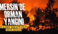 Mersin’de orman yangını büyüyor: 5 ilden takviye ekip sevk edildi