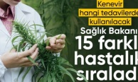 Tedavisinde tıbbi kenevir kullanılan 15 hastalık