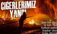 Türkiye'de bir ayda 12 bin 752 futbol sahası büyüklüğünde orman yandı