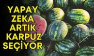 Yapay zeka ile karpuz seçimi