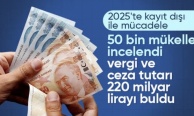 Maliye 50 bin mükellef incelendi! 220 milyar liralık vergi ve ceza tespit etti