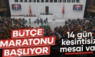TBMM'nin gündemi bu hafta da yoğun: Bütçe maratonu başlıyor