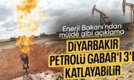 Alparslan Bayraktar: Diyarbakır'daki kaya petrolü Gabar'ı üçe katlayabilir