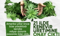 Resmi Gazete'de yayınlandı: 21 ilde kenevir üretimi yapılabilecek