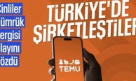 Temu, Türkiye'ye geri döndü! Türkiye'de şirketleşti, gümrük engeli kalktı