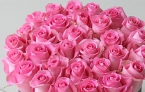 Gül yaprakları için en iyi 10 kullanım alanı