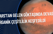 Mars'tan gelen göktaşında devasa organik çeşitlilik keşfedildi
