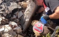 19 ilde 'Narkoçelik-42' operasyonu