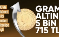 ABD'de hükümet açılınca altın da yükselişini hızlandırdı