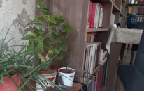 Kemal Varol Onu Sevdiğim Zamanlar  Pariste başlayan eser okuyucusunu farklı anlatı labirentlerinde gezdirdikten sonra sarsıcı bir finale ulaşır.