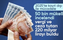 Maliye 50 bin mükellef incelendi! 220 milyar liralık vergi ve ceza tespit etti