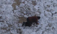 Kara alışık olmayan Şanlıurfalılar düşe kalka yürüdü