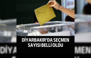 Diyarbakır'da seçmen sayısı ne, kaç sandık kuruldu