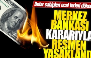 Dolar Sahipleri Ecel Terleri Dökecek: Merkez Bankası Kararıyla Resmen Yasaklandı!