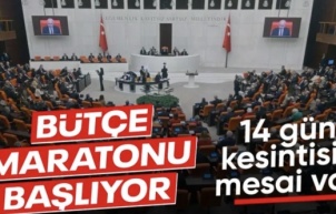 TBMM'nin gündemi bu hafta da yoğun: Bütçe maratonu başlıyor