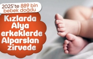 Türkiye'de 2025'te 889 bin 598 bebek dünyaya geldi