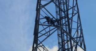 Alkolün etkisiyle çıktığı direkte sızdı