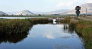 Kaz gölünde sonbahar