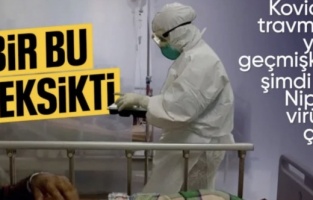 Hindistan'da görüldü: Nipah virüsü yayılıyor mu