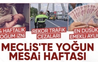 TBMM'nin gündemi yoğun: Önemli konular görüşülecek