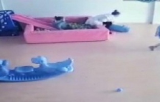 5 Yaşındaki çocuk eğitim gördüğü kurumda darp edildi.