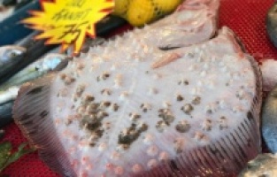 Kilosu 250 TL'den alıcı bulan kalkan, yok satıyor!