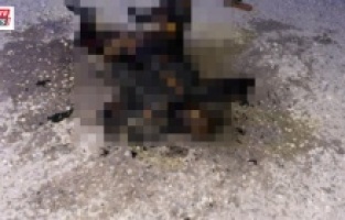 Şanlıurfa'da yanmış kadın cesedi bulundu