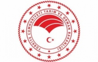 Tarım ve Orman Bakanlığı’ndan patates ve soğan üretimine ilişkin açıklama