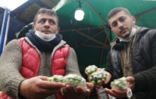 Yeşil eriğin fiyatı çeyrek altınla yarışıyor!