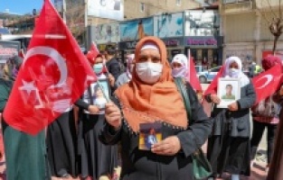 Diyarbakır annelerinin eylemi birçok aileye ilham verdi