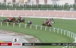 Adana'daki at yarışında kaza yapan iki jokeyde kırıklar tespit edildi