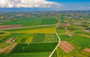 Altın sarısı Kanola tarlaları havadan görüntülendi