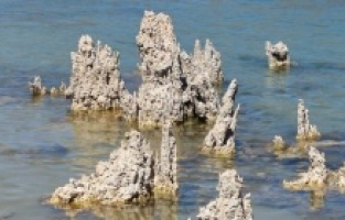 Aslan siluetine benzeyen mikrobiyalit ilgi çekiyor