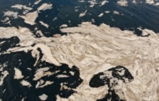 Gemlik körfezinin bu hali görenleri korkuttu!..