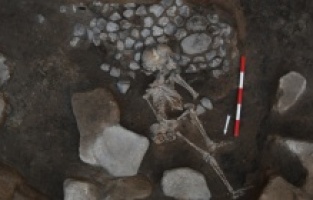 DNA analizleri Anadolu'da 10 bin yıl önceki toplulukların geleneklerine ışık tuttu