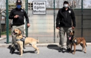 Emniyetin hassas burunları 'Jack' ve 'Athena' zehir tacirlerine geçit vermiyor