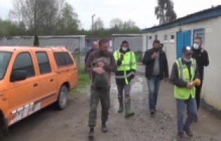 Eve giren ayı yavrusu koruma altına alındı