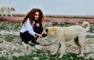 Genç ressam yaptığı resimleri sosyal medyadan satarak sokak hayvanlarını besliyor