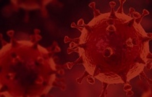 Hindistan'da salgında rekor üstüne rekor