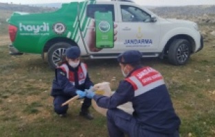 Mersin'de kanadı kırık pelikan tedaviye alındı