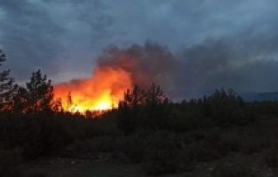 Muğla'nın Menteşe ve Kavaklıdere ilçelerinde çıkan orman yangınları söndürüldü
