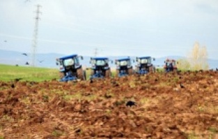 Muş Ovası'nda çiftçilerin ekim mesaisi başladı