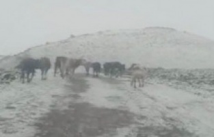 Nisan ayında Karacadağ’a kar düştü