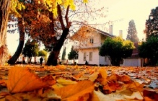 'Osman Hamdi Bey Evi ve Müzesi' prestij müzesi olacak