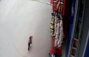 Pendik'te ‘cips hırsızı' karga, iş yeri sahibine yakalandı