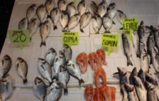 Ramazanda balıklar ucuzladı